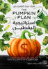 استراتيجية اليقطين