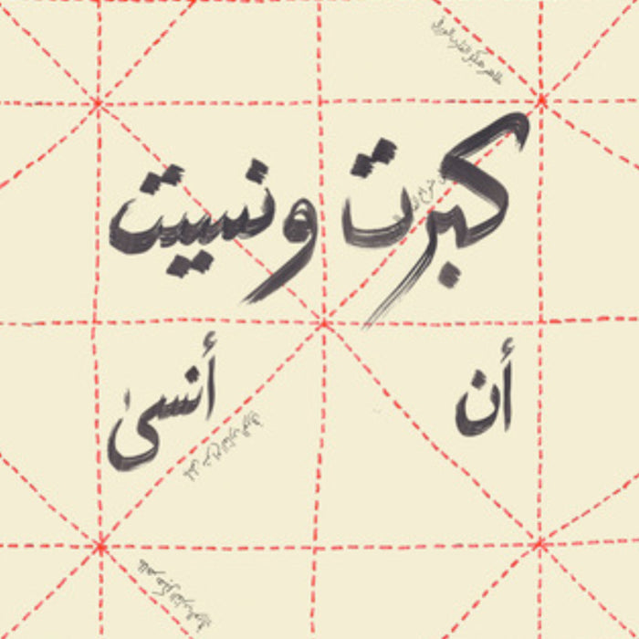 كبرت ونسيت أن أنسى
