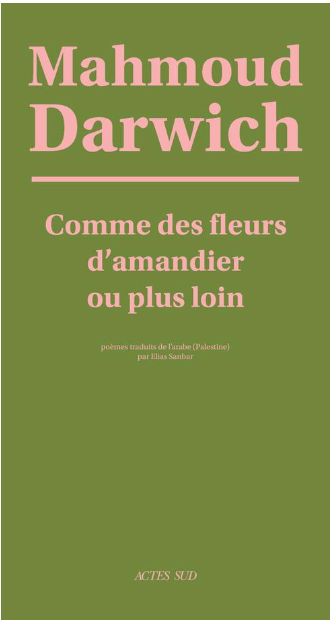Comme des fleurs d'amandier ou plus loin