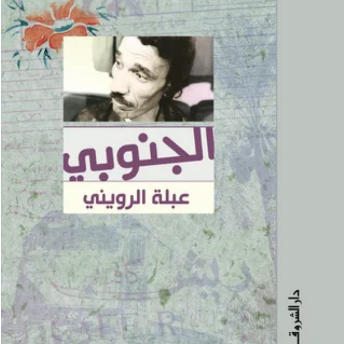 الجنوبى