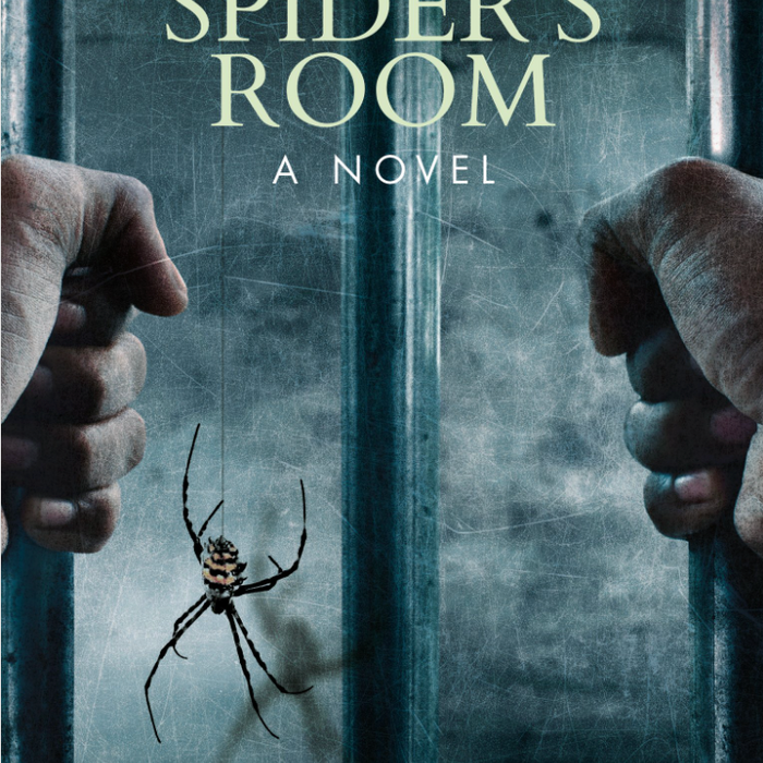 In the Spider’s Room