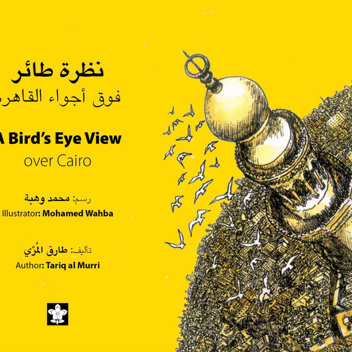 A Bird's Eye View over Cairo نظرة طائر فوق أجواء القاهرة